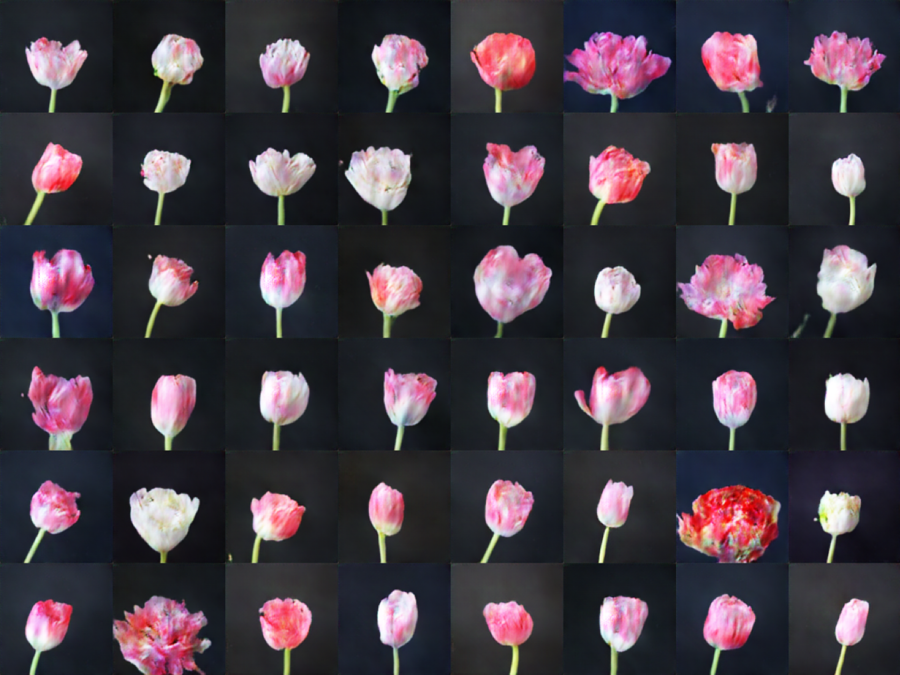 Background pattern
Description automatically generated